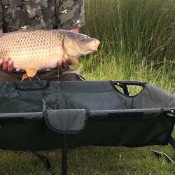 Fish4